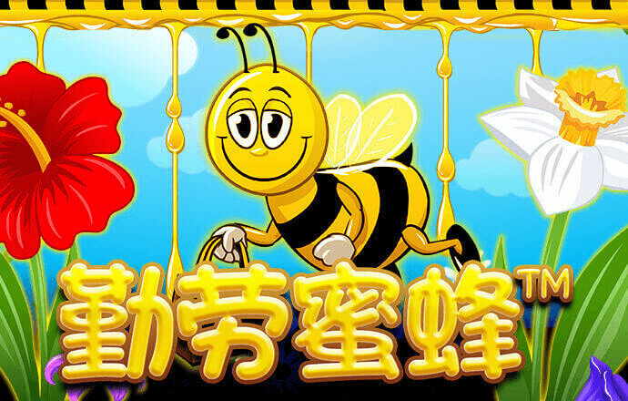 kok中欧体育是干嘛的